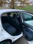 Fiat Punto Evo Punto Evo 5p 1.4 natural power Emotion 70cv Bianco - thumbnail 11