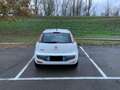 Fiat Punto Evo Punto Evo 5p 1.4 natural power Emotion 70cv Bianco - thumbnail 6