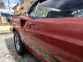 Ford Mustang 69' Mach 1 428 Cobra Jet Ram Air Matching Numbers Rouge - thumbnail 3