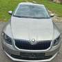 Skoda Octavia Octavia 1,6 Elegance TDI Green tec Elegance Beige - thumbnail 1