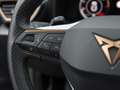 CUPRA Formentor 2.0 TDI DSG 4Drive AHK/Navi/Pano/RFK Weiß - thumbnail 17