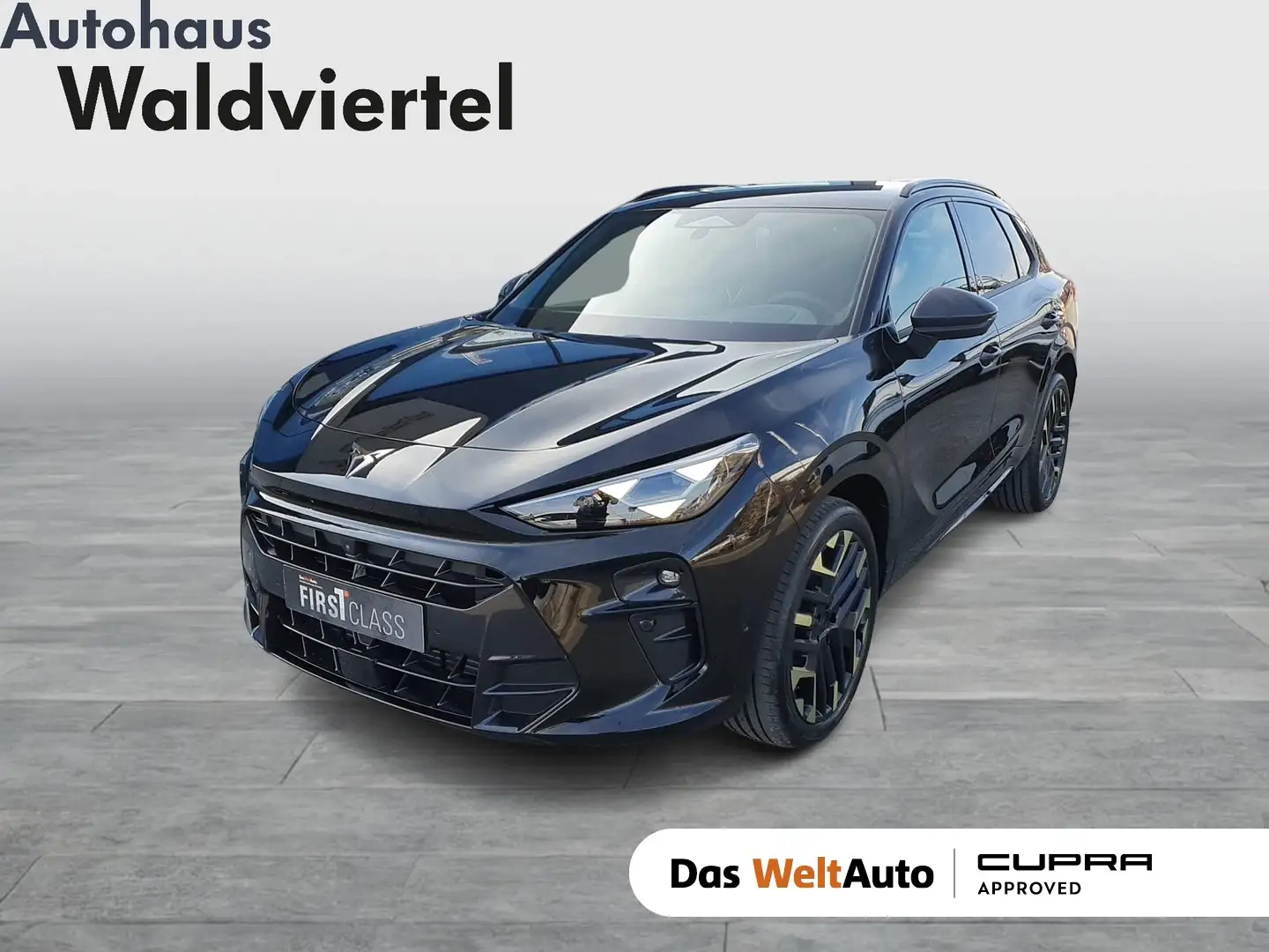 CUPRA Terramar TRIBE 1.5 e-TSI 150 PS DSG Schwarz - 1