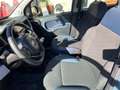 Fiat Panda Panda Cross 1.0 FireFly S&S Hybrid Grigio - thumbnail 10