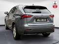 Lexus NX 300h Executive Hybrid Aut. Gris - thumbnail 7