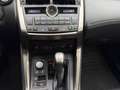Lexus NX 300h Executive Hybrid Aut. Gris - thumbnail 22