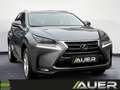 Lexus NX 300h Executive Hybrid Aut. Gris - thumbnail 11