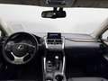 Lexus NX 300h Executive Hybrid Aut. Gris - thumbnail 5