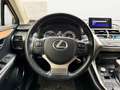 Lexus NX 300h Executive Hybrid Aut. Gris - thumbnail 18