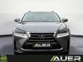 Lexus NX 300h Executive Hybrid Aut. Gris - thumbnail 12