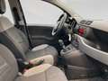 Fiat Panda City Life 70 PS Hybrid Schalter Schwarz - thumbnail 22