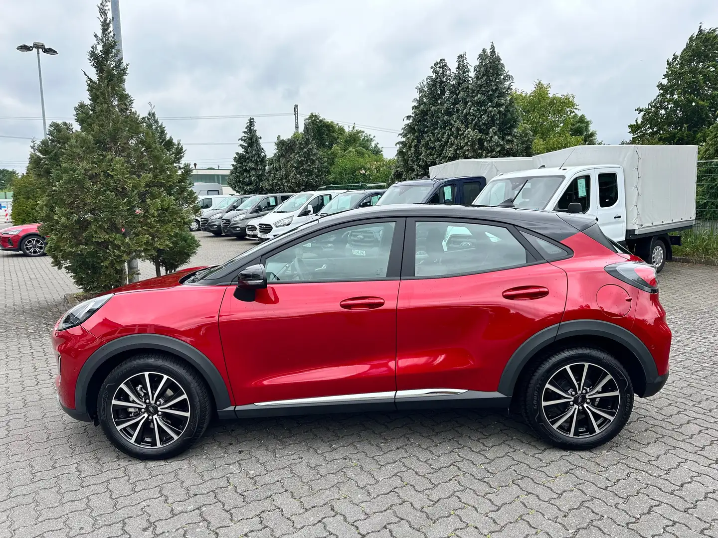 Ford Puma Titanium RFK, Ganzjahresreifen Rot - 2