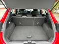 Ford Puma Titanium RFK, Ganzjahresreifen Rot - thumbnail 9