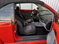 Volkswagen Beetle 1.4 Cabrio Orange - thumbnail 12