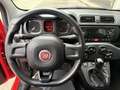 Fiat Panda 1.2 Pop UNICA PROPRIETARIA MONTIAMO SCHERMO BLUETO Rouge - thumbnail 8