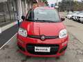 Fiat Panda 1.2 Pop UNICA PROPRIETARIA MONTIAMO SCHERMO BLUETO Rouge - thumbnail 3