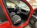 Fiat Panda 1.2 Pop UNICA PROPRIETARIA MONTIAMO SCHERMO BLUETO Rouge - thumbnail 10