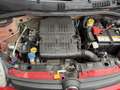 Fiat Panda 1.2 Pop UNICA PROPRIETARIA MONTIAMO SCHERMO BLUETO Rouge - thumbnail 18