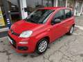 Fiat Panda 1.2 Pop UNICA PROPRIETARIA MONTIAMO SCHERMO BLUETO Rouge - thumbnail 1
