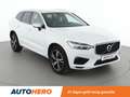 Volvo XC60 2.0 T4 R Design 2WD Wit - thumbnail 8