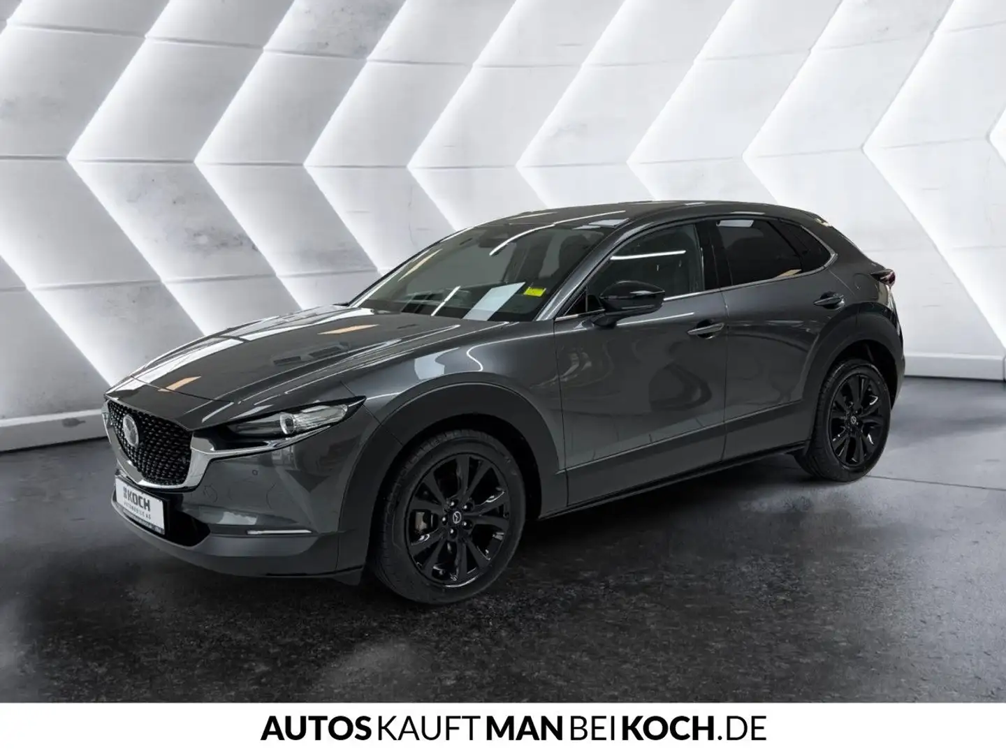 Mazda CX-30 2,5 e-SKYACTIV-G 140 M Hybrid Homura NAV KAM Grau - 2