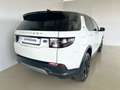 Land Rover Discovery Sport 2.0 eD4 163 CV 2WD *IVA ESPOSTA* Bianco - thumbnail 2