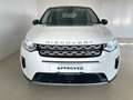 Land Rover Discovery Sport 2.0 eD4 163 CV 2WD *IVA ESPOSTA* Bianco - thumbnail 8