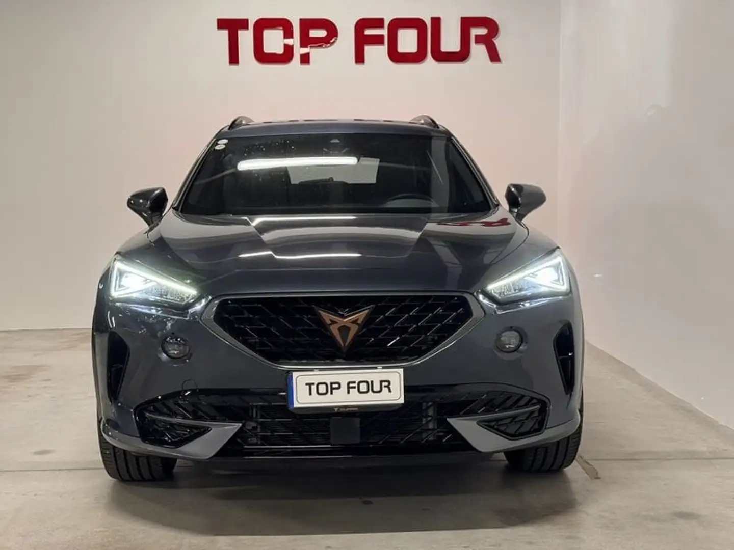 CUPRA Formentor 1.5 TSI DSG Gris - 2