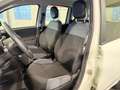 Fiat Panda 1.0 hybrid Easy s&s 70cv Bianco - thumbnail 3