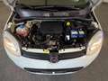 Fiat Panda 1.0 hybrid Easy s&s 70cv Bianco - thumbnail 13