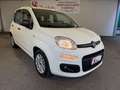 Fiat Panda 1.0 hybrid Easy s&s 70cv Bianco - thumbnail 7