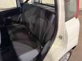 Fiat Panda 1.0 hybrid Easy s&s 70cv Bianco - thumbnail 12