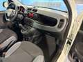 Fiat Panda 1.0 hybrid Easy s&s 70cv Bianco - thumbnail 11