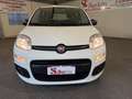 Fiat Panda 1.0 hybrid Easy s&s 70cv Bianco - thumbnail 6