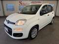 Fiat Panda 1.0 hybrid Easy s&s 70cv Bianco - thumbnail 1