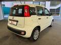 Fiat Panda 1.0 hybrid Easy s&s 70cv Bianco - thumbnail 8