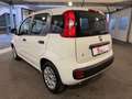 Fiat Panda 1.0 hybrid Easy s&s 70cv Bianco - thumbnail 2