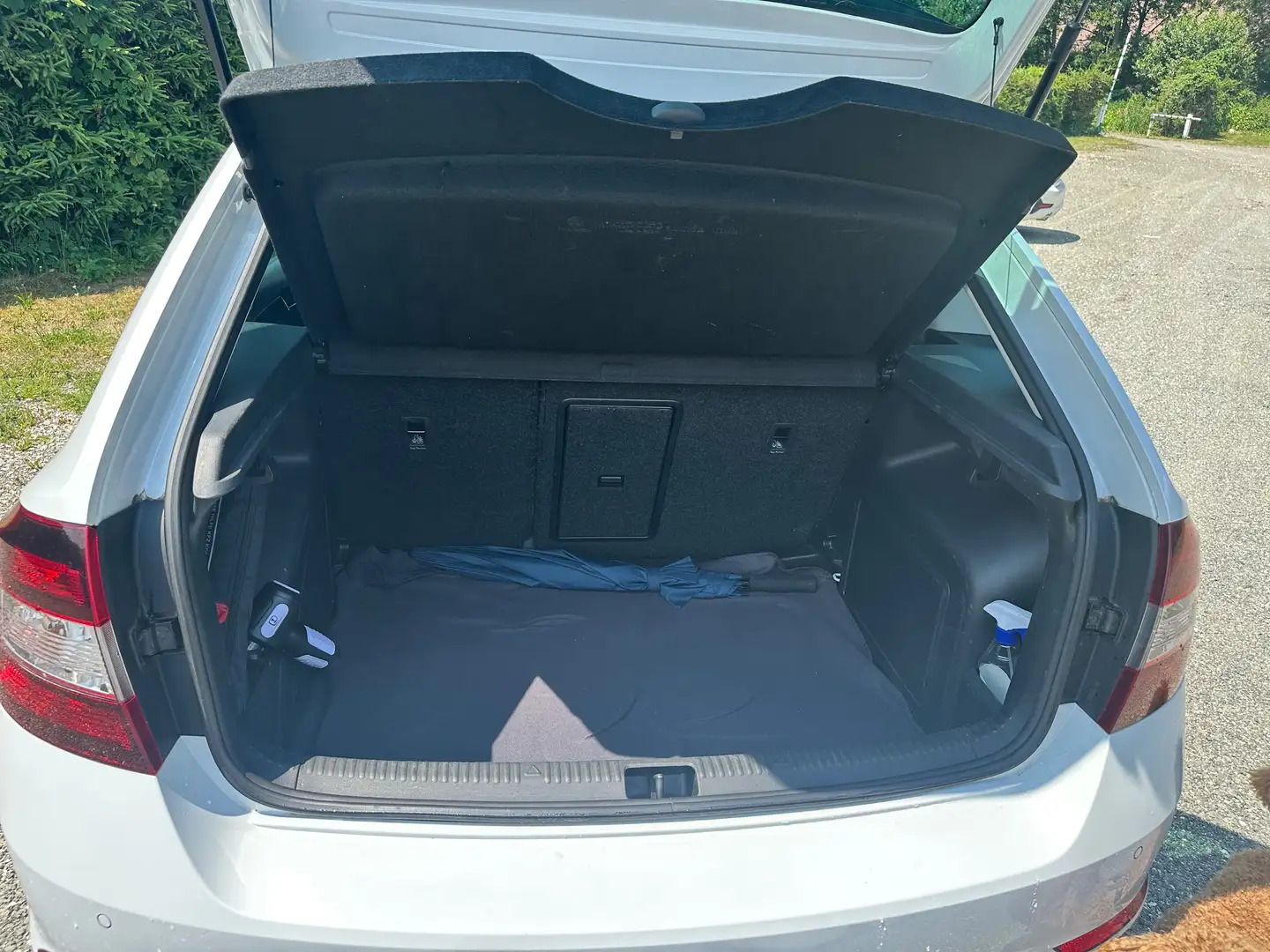 Skoda Rapid/Spaceback Rapid 1,0 TSI Sport - 2