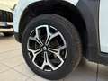 Dacia Duster 1.5 dCi 8V 110 CV- Gomme 4 Stagioni - Start&Stop Wit - thumbnail 17