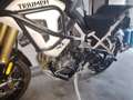 Triumph Tiger 1200 Rally pro Bianco - thumbnail 2