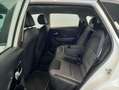 Kia e-Niro Drive Long Range Blanco - thumbnail 8