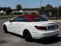 Mercedes-Benz E 220 Cabrio cdi Premium Bianco - thumbnail 7