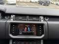 Land Rover Range Rover Range Rover 3.0 TDV6 Vogue *1 PROP., PACK LUCI, C Grau - thumbnail 11