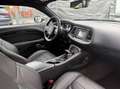 Dodge Challenger SXT Grau - thumbnail 8
