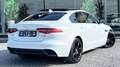 Jaguar XE FACELIFT // VIRTUAL COCKPIT//TOIT PANO Білий - thumbnail 5