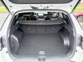 Hyundai TUCSON Prime CRDI 4WD PANO/ECS/360°/MATRIX Weiß - thumbnail 15