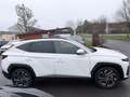 Hyundai TUCSON Prime CRDI 4WD PANO/ECS/360°/MATRIX Weiß - thumbnail 4