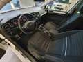 Volkswagen Golf 1.6 TDI 110 CV Sport Edition Cup Wit - thumbnail 6