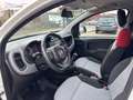 Fiat Panda Lounge/Unfallfrei/Wenig km Weiß - thumbnail 9