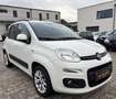 Fiat Panda Lounge/Unfallfrei/Wenig km Weiß - thumbnail 3