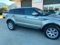 Land Rover Range Rover Evoque Range Rover Evoque 2.2 sd4 Prestige 190cv Oro - thumbnail 6